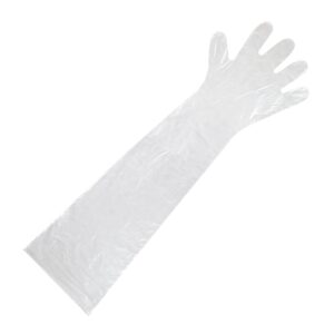 SHOULDER LENGTH GLOVES CLEAR BLUE POLYETHYLENE, 35" LONG, 100 cnt - Image 2